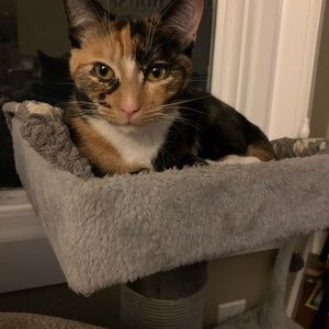 Meet your Posher, Lauralee